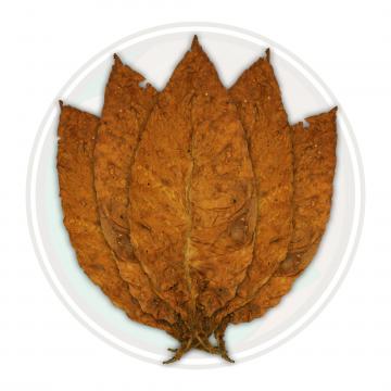 American Virginia Flue Cured 2018 Tobacco Leaf